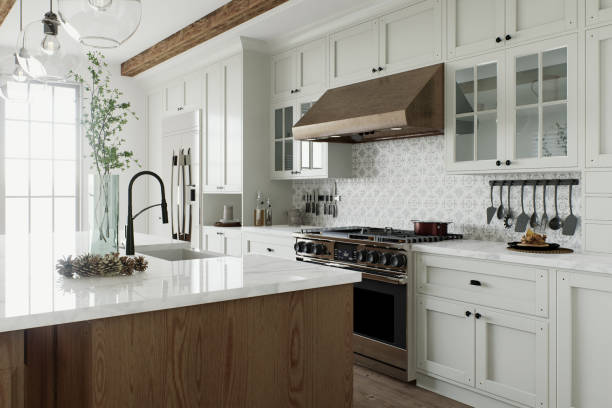 Dishwasher install Auburn